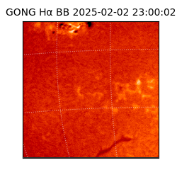 gong - 2025-02-02T23:00:02