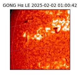 gong - 2025-02-02T01:00:42