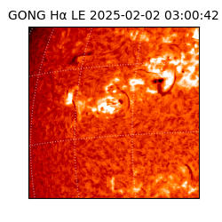 gong - 2025-02-02T03:00:42