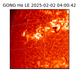 gong - 2025-02-02T04:00:42