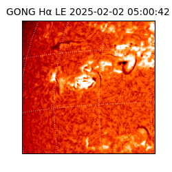 gong - 2025-02-02T05:00:42