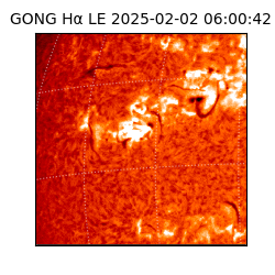 gong - 2025-02-02T06:00:42