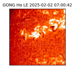 gong - 2025-02-02T07:00:42