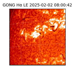 gong - 2025-02-02T08:00:42