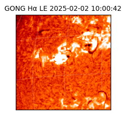 gong - 2025-02-02T10:00:42