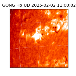 gong - 2025-02-02T11:00:02