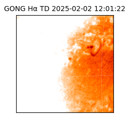 gong - 2025-02-02T12:01:22