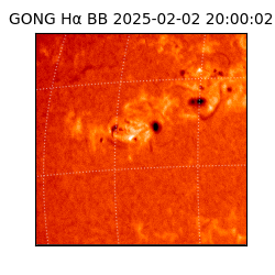 gong - 2025-02-02T20:00:02