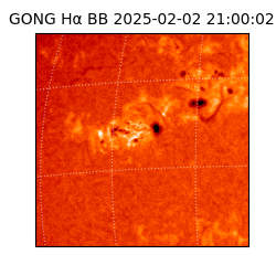 gong - 2025-02-02T21:00:02