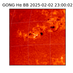 gong - 2025-02-02T23:00:02