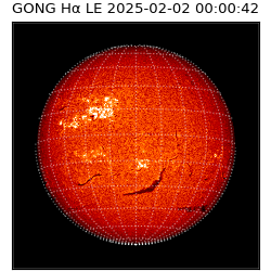 gong - 2025-02-02T00:00:42