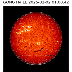 gong - 2025-02-02T01:00:42