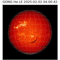 gong - 2025-02-02T04:00:42