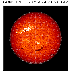 gong - 2025-02-02T05:00:42