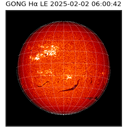 gong - 2025-02-02T06:00:42