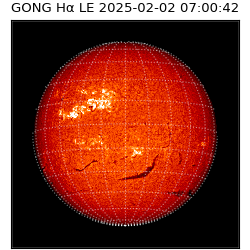gong - 2025-02-02T07:00:42