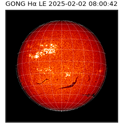gong - 2025-02-02T08:00:42
