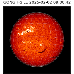 gong - 2025-02-02T09:00:42