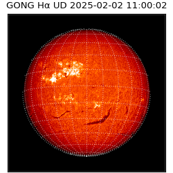 gong - 2025-02-02T11:00:02
