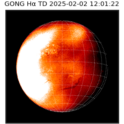 gong - 2025-02-02T12:01:22