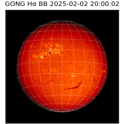 gong - 2025-02-02T20:00:02