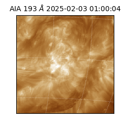 saia - 2025-02-03T01:00:04.842000