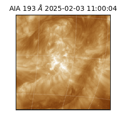 saia - 2025-02-03T11:00:04.835000