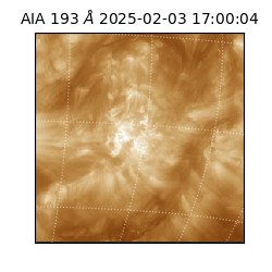 saia - 2025-02-03T17:00:04.843000