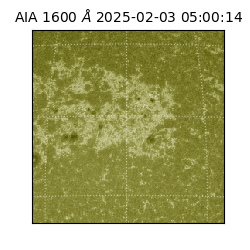 saia - 2025-02-03T05:00:14.125000