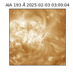 saia - 2025-02-03T03:00:04.843000