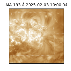 saia - 2025-02-03T10:00:04.843000