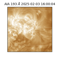 saia - 2025-02-03T16:00:04.843000