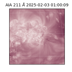 saia - 2025-02-03T01:00:09.630000