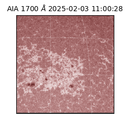 saia - 2025-02-03T11:00:28.718000