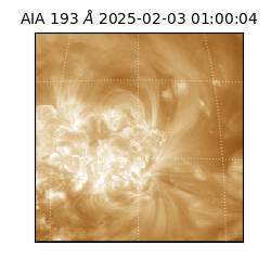 saia - 2025-02-03T01:00:04.842000