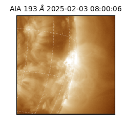 saia - 2025-02-03T08:00:06.294000