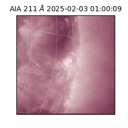 saia - 2025-02-03T01:00:09.630000