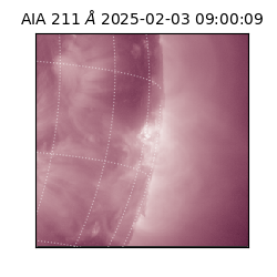 saia - 2025-02-03T09:00:09.622000