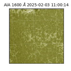 saia - 2025-02-03T11:00:14.122000