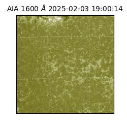 saia - 2025-02-03T19:00:14.129000