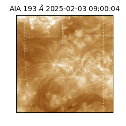 saia - 2025-02-03T09:00:04.835000