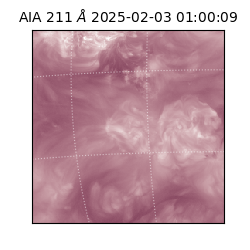 saia - 2025-02-03T01:00:09.630000