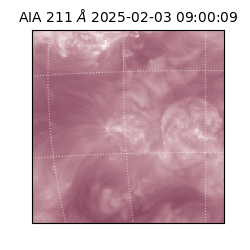 saia - 2025-02-03T09:00:09.622000