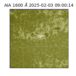 saia - 2025-02-03T09:00:14.118000