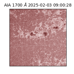 saia - 2025-02-03T09:00:28.722000