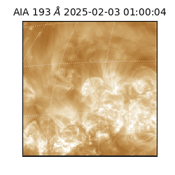 saia - 2025-02-03T01:00:04.842000