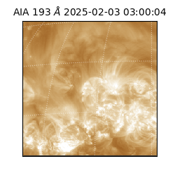 saia - 2025-02-03T03:00:04.843000
