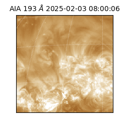 saia - 2025-02-03T08:00:06.294000