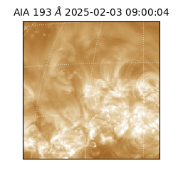 saia - 2025-02-03T09:00:04.835000