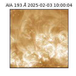 saia - 2025-02-03T10:00:04.843000
